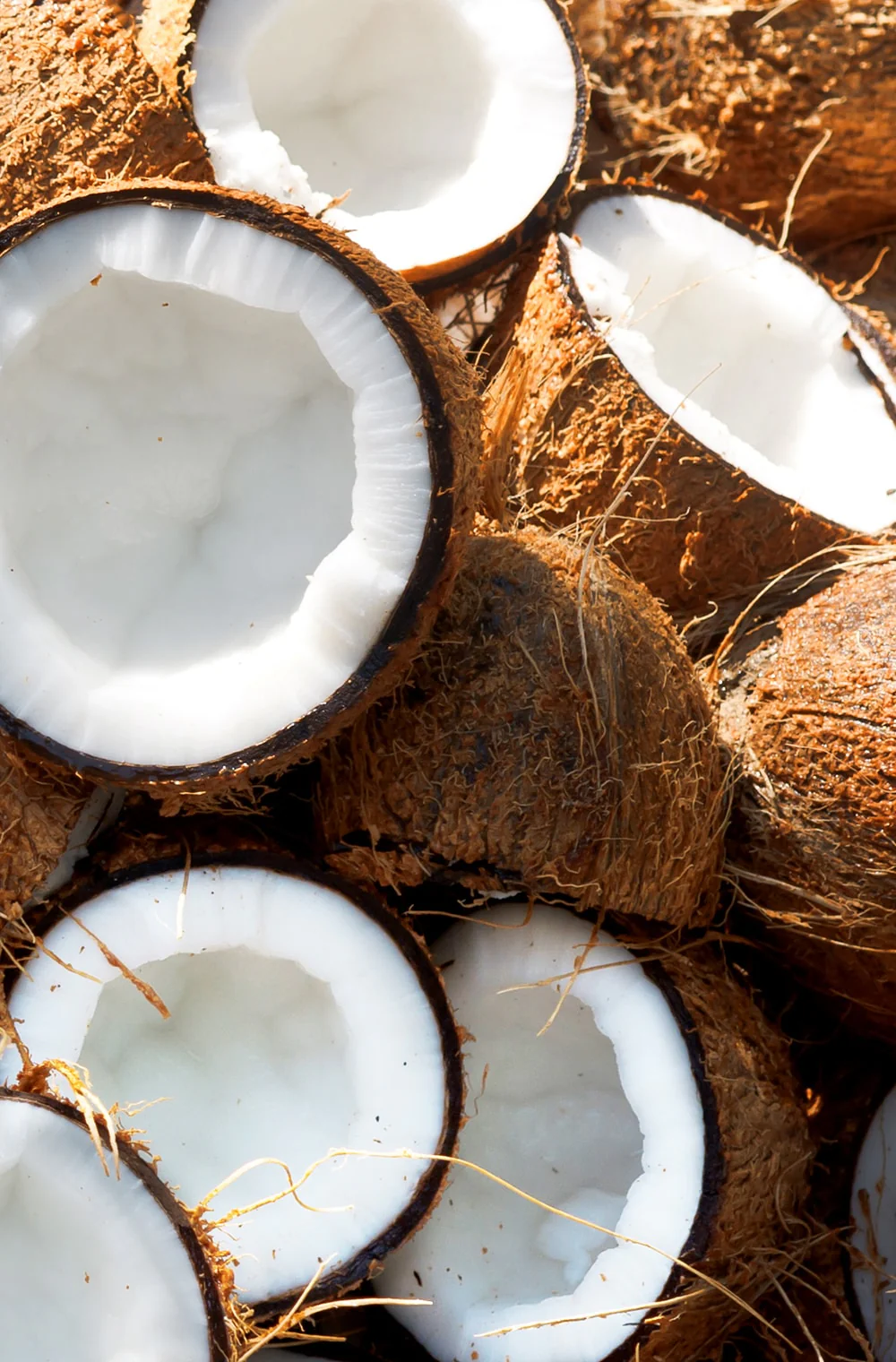 Coconut Shikakai - Image 4