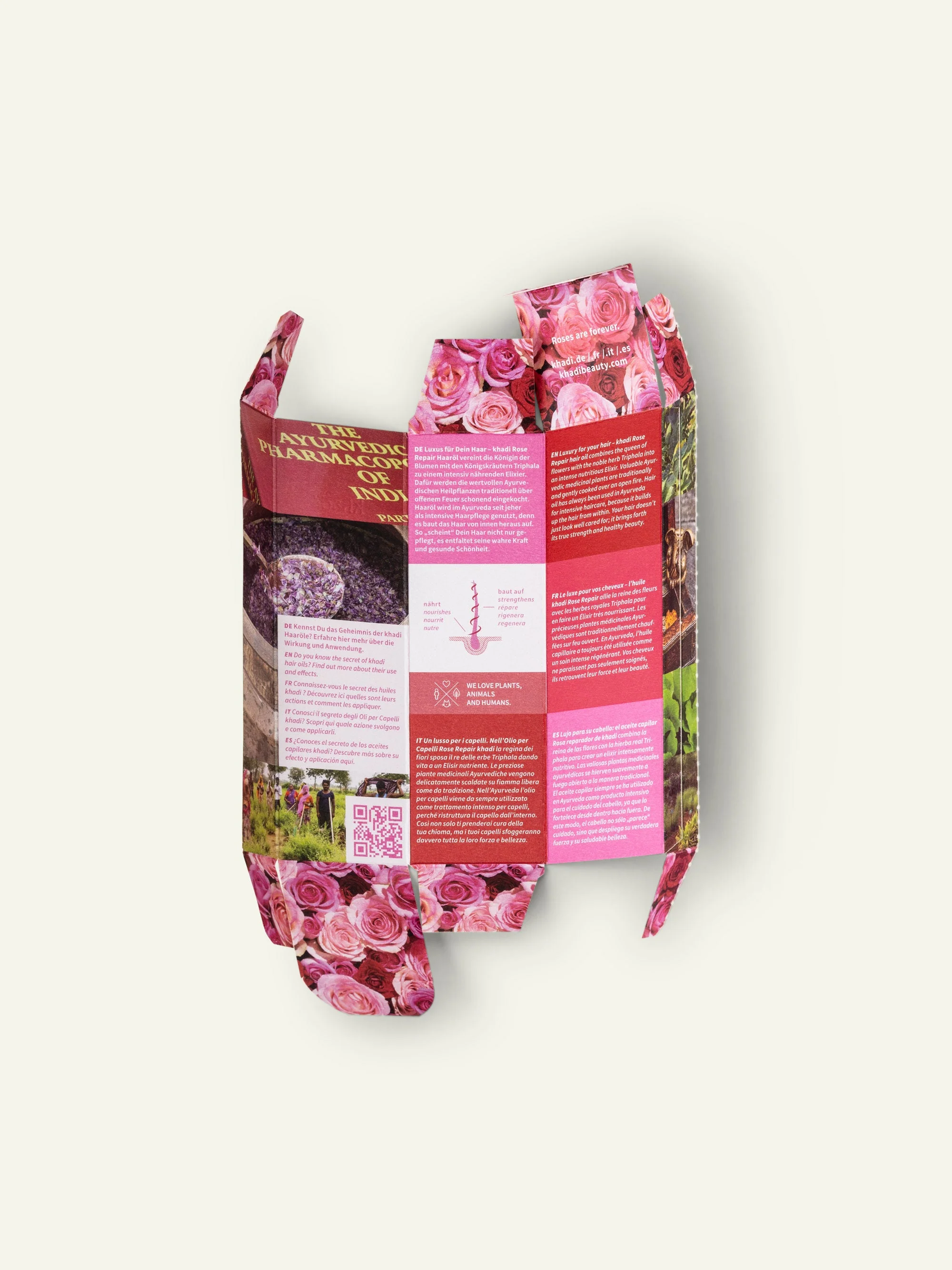 Rose Repair - Image 6